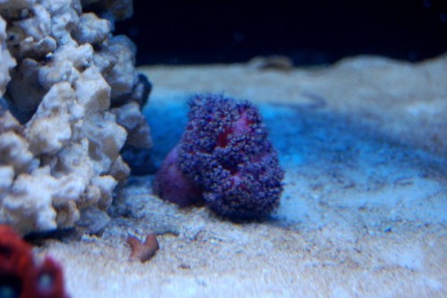 DSC_0423.jpg