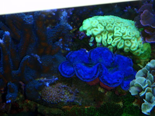 grav.mave 041 (Medium).jpg