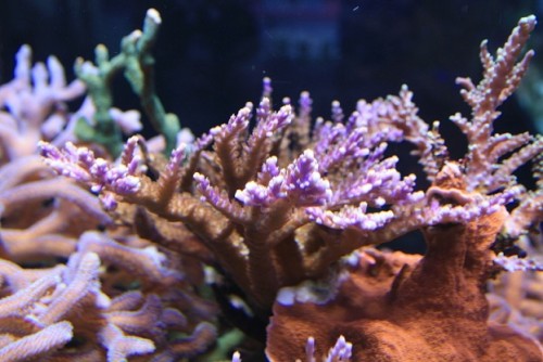 IMG_0073.JPG