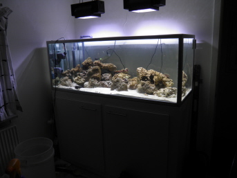 PC130001.JPG
