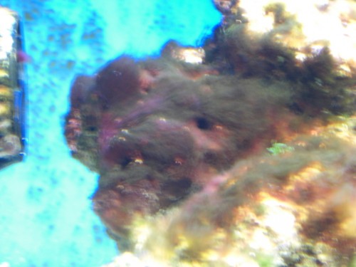 CIMG4088.JPG