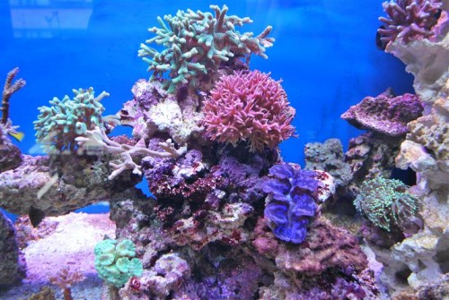 DSC_2054 (Small).JPG