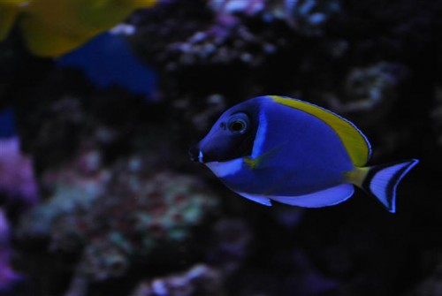 DSC_2078 (Small).JPG