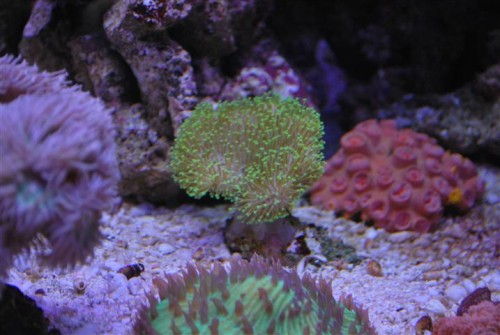 DSC_2093 (Small).JPG