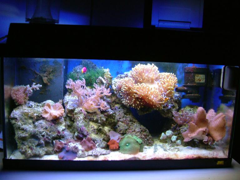 baljen d 22/01 2005