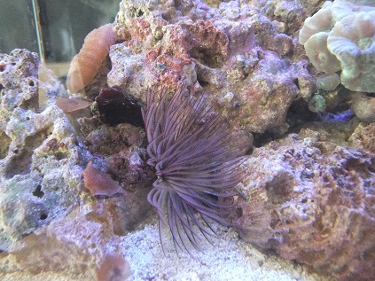 DSCF5774.jpg
