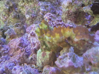 DSCF5777.jpg