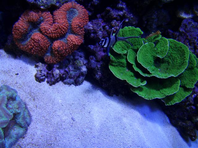 PB092652 (Small).JPG