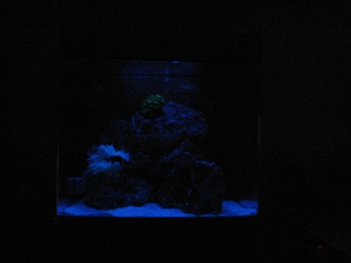 Gammelt LED månelys-strip