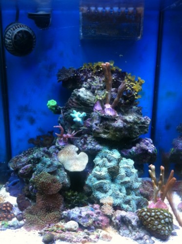 FTS2.jpg