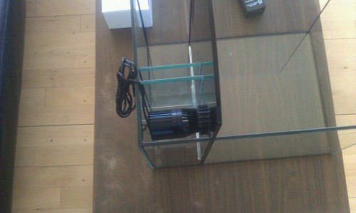 rps20110308_222124.jpg