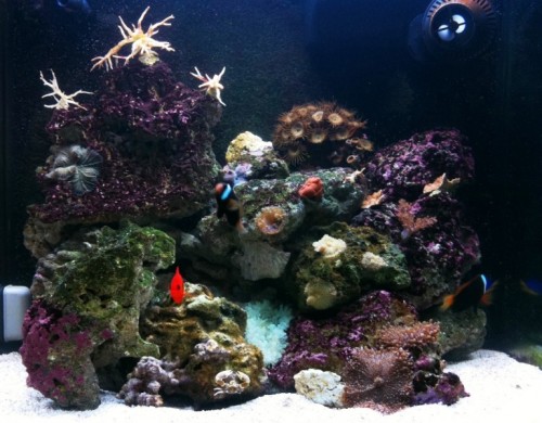 Full tank shot