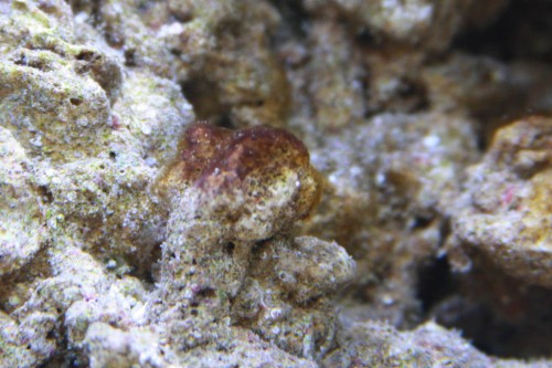 IMG_3647.JPG