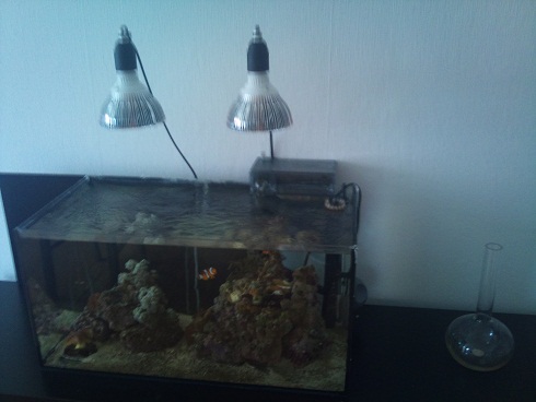 2011-03-26 12.31.21.jpg