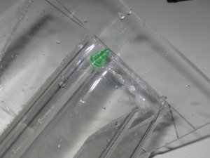 Img_0634.jpg