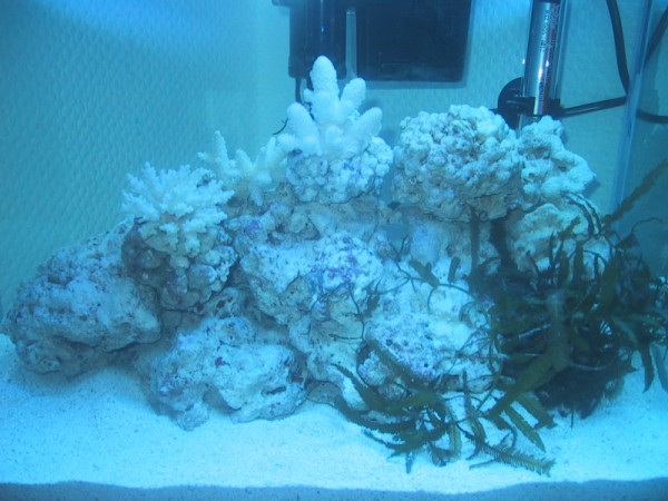 BTN modul v 259 (600 x 450).jpg