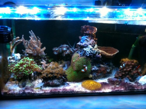 FTS.JPG
