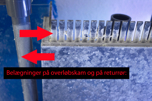 _V5S8681.png