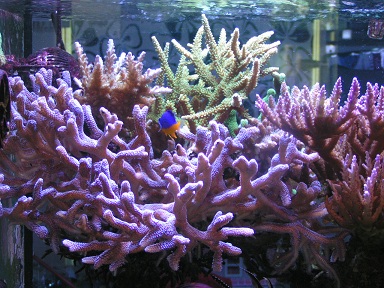 PICT0205.JPG