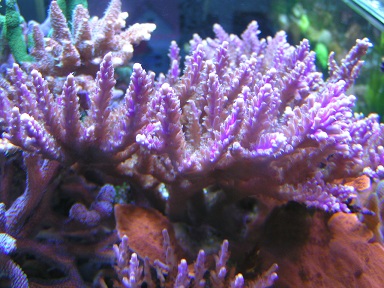 PICT0215.JPG