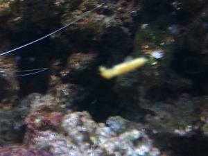 IMAG0049.jpg