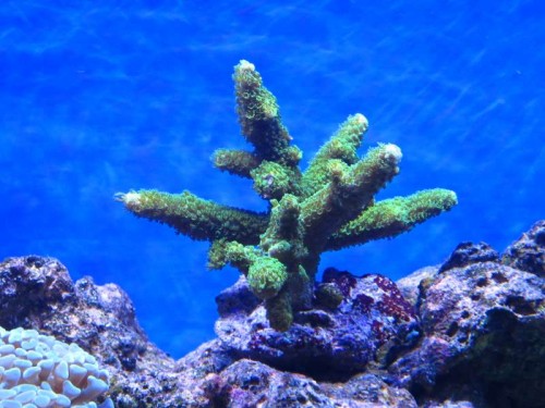 IMG_0008.JPG