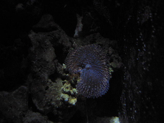 IMG_1986.jpg