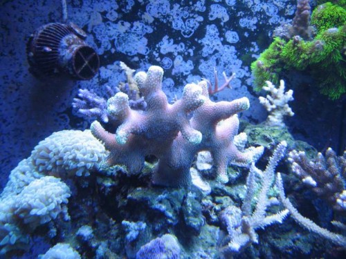 IMG_5998.JPG