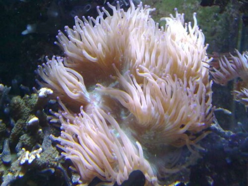 04012010067.jpg