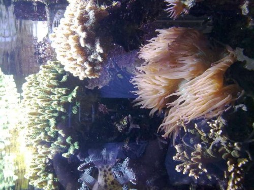01022010101.jpg