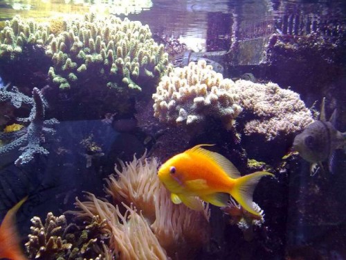 01022010100.jpg