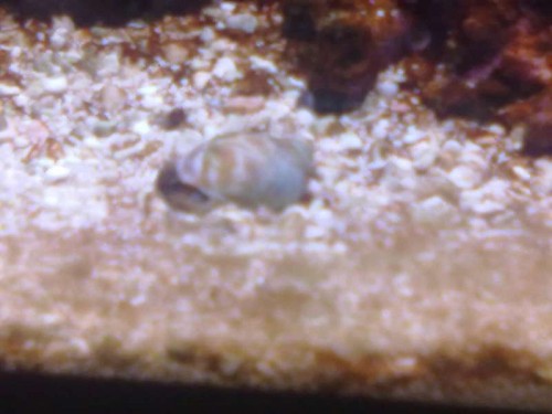01082011485.jpg