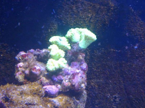 09082011608.jpg
