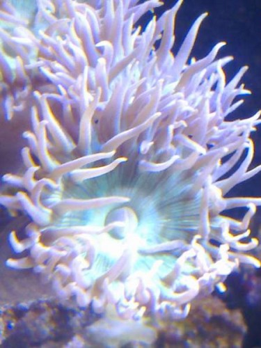 09082011629.jpg