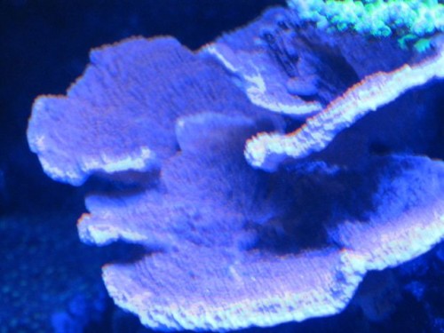 IMG_2328.jpg