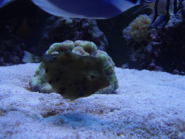 PC123305 (Small).JPG