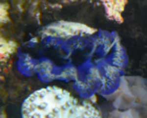 Akvarium-11.10.2011-004.jpg