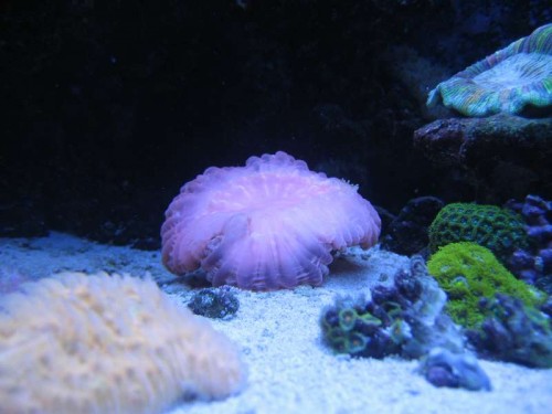 IMG_6155.JPG