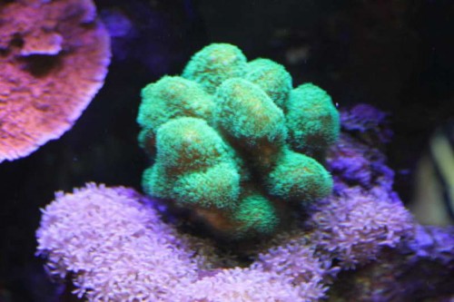 IMG_0659.JPG
