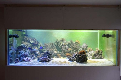 FTS.JPG