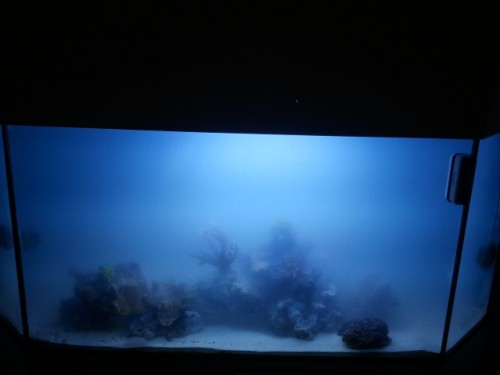 2011-11-10 11.53.10.jpg