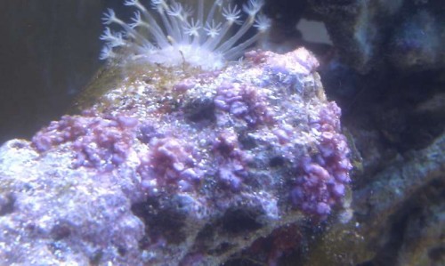 IMAG0489.jpg