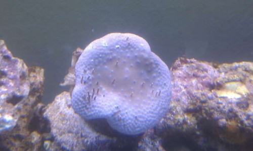 IMAG0498.jpg