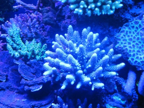 IMG_2926.jpg