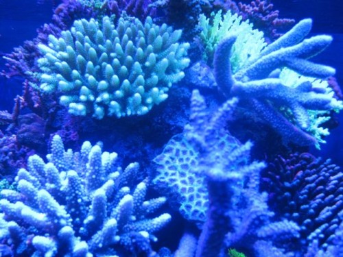 IMG_2927.jpg