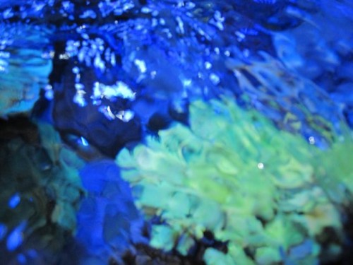 IMG_2947.jpg