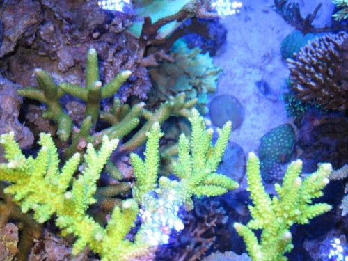 IMG_2952.jpg