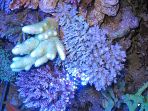 IMG_2956.jpg