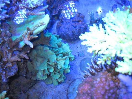 IMG_2957.jpg