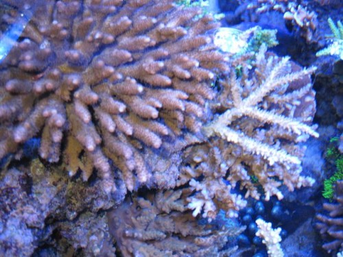 IMG_2964.jpg